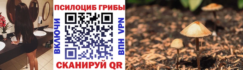 Псилоцибиновые грибы Magic Shrooms Кашира