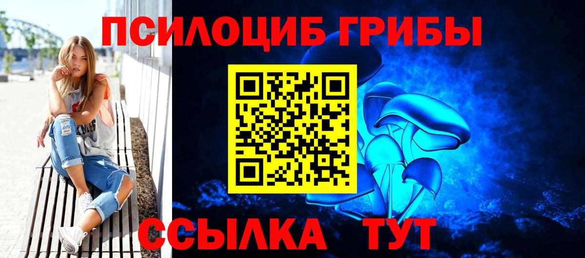 Кашира  Псилоцибиновые грибы прущие грибы  Вход с VPN 