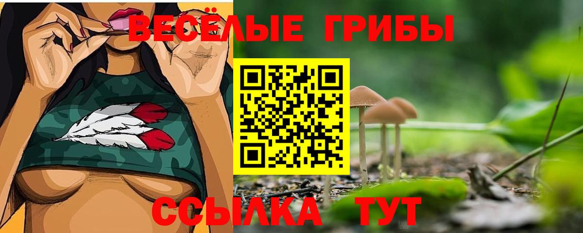 Псилоцибиновые грибы GOLDEN TEACHER Кашира